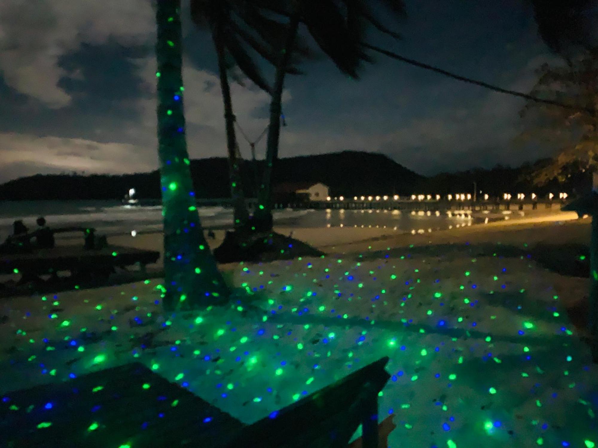 イージー タイガー バンガロー ロンサレム島 エクステリア 写真