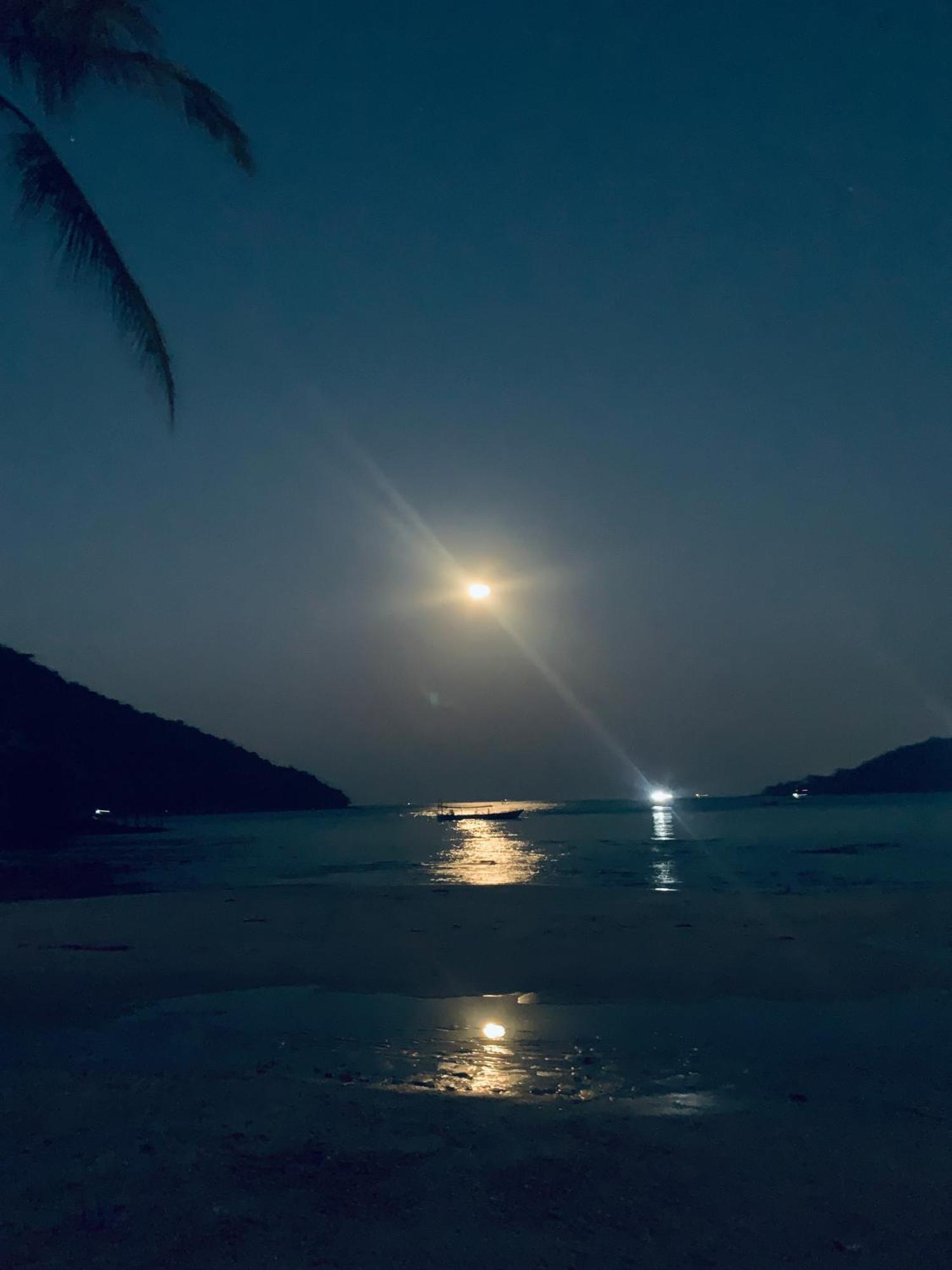 イージー タイガー バンガロー ロンサレム島 エクステリア 写真