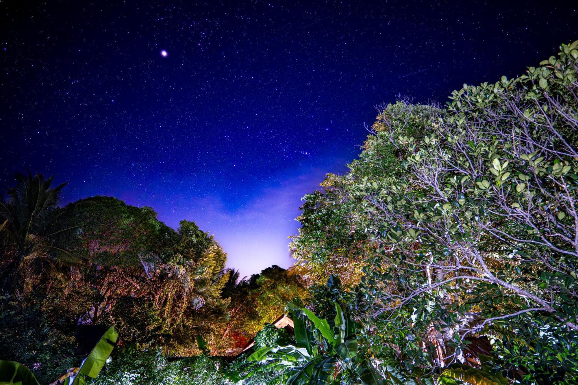 イージー タイガー バンガロー ロンサレム島 エクステリア 写真